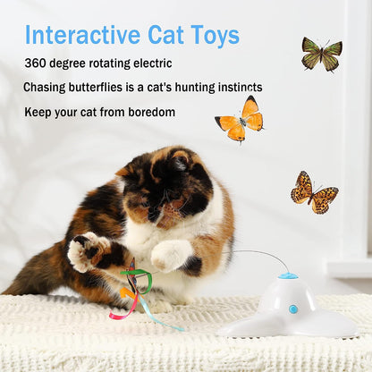 Interactive Cat Toys