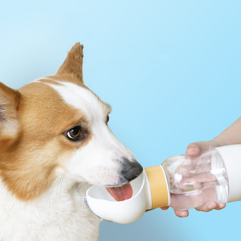 Dog Drink Water With Portable Pet Water Bottle